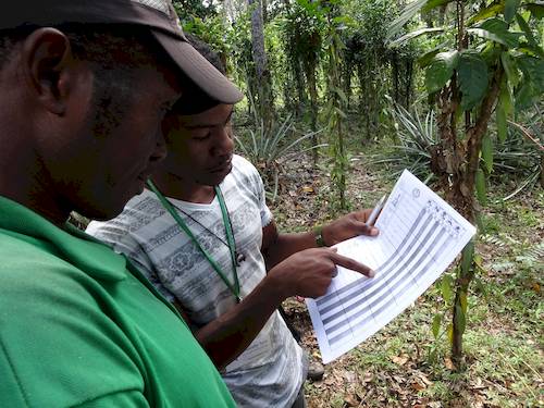 Researchers in Madagascar
