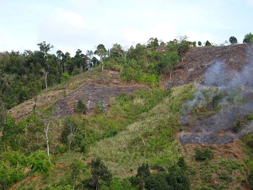 Slash and burn in Madagascar